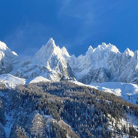 Chamonix Superbe Appartement Vue Mont Blanc Екстериор снимка