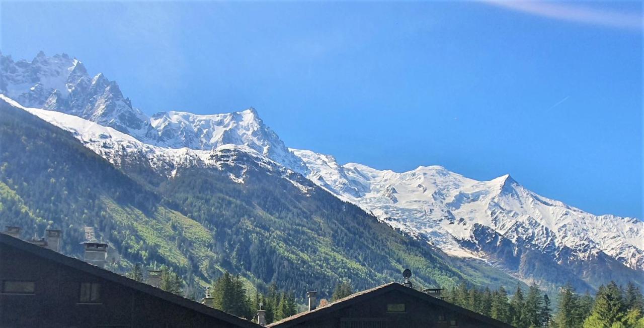 Chamonix Superbe Appartement Vue Mont Blanc Екстериор снимка
