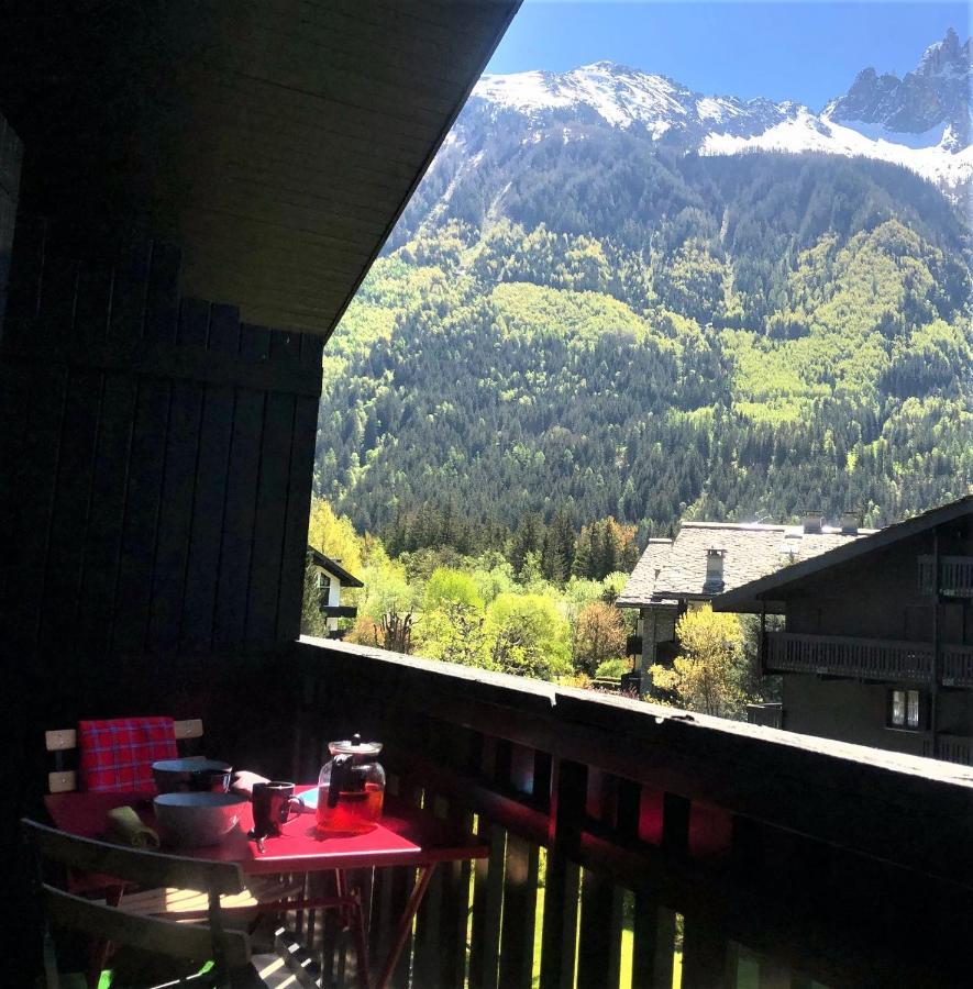 Chamonix Superbe Appartement Vue Mont Blanc Екстериор снимка
