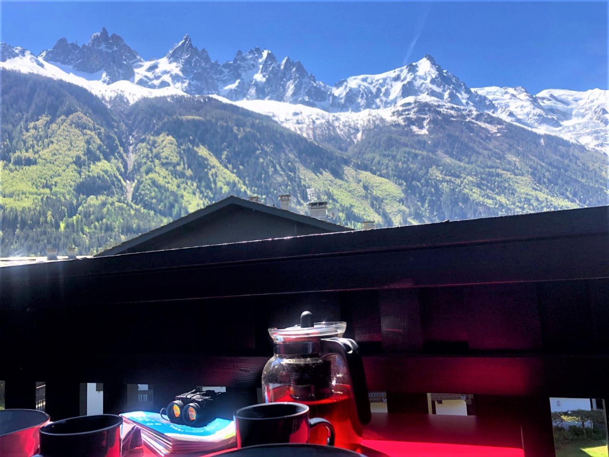 Chamonix Superbe Appartement Vue Mont Blanc Екстериор снимка