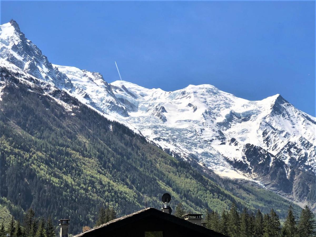 Chamonix Superbe Appartement Vue Mont Blanc Екстериор снимка
